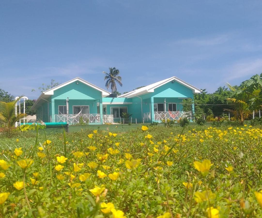Blue Lizard House Vila San Andrés Exterior foto