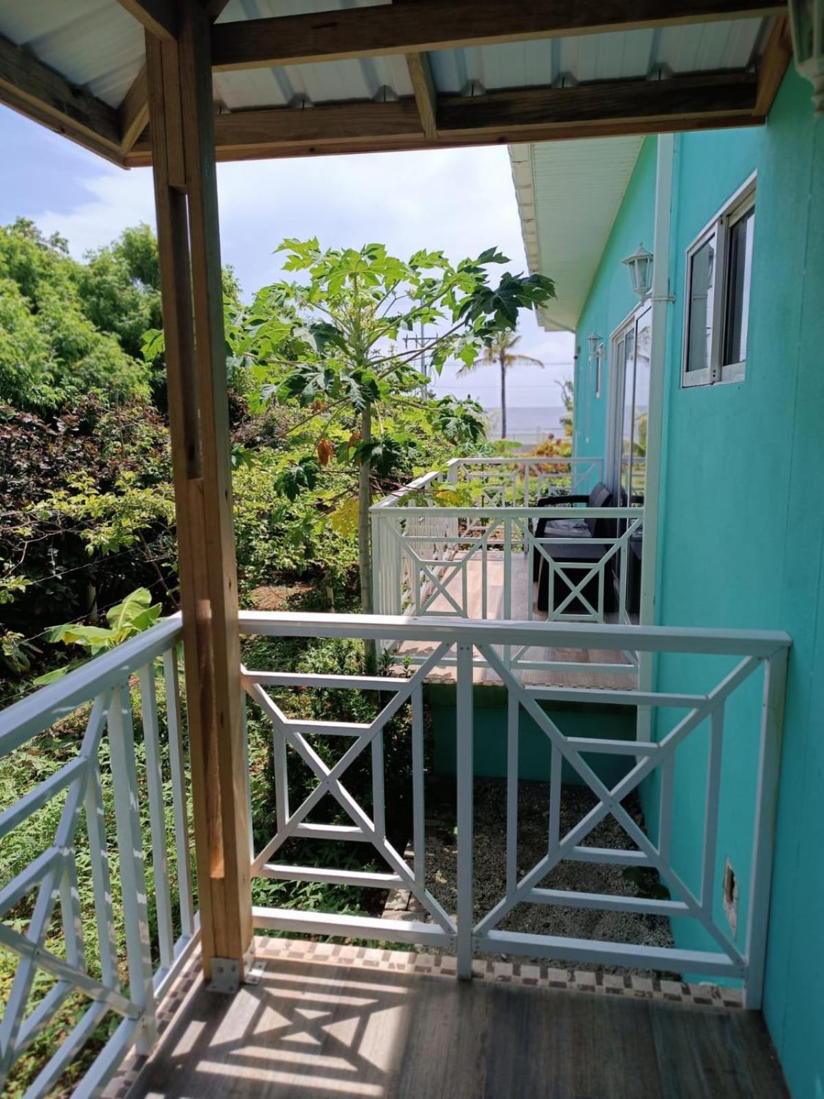 Blue Lizard House Vila San Andrés Exterior foto