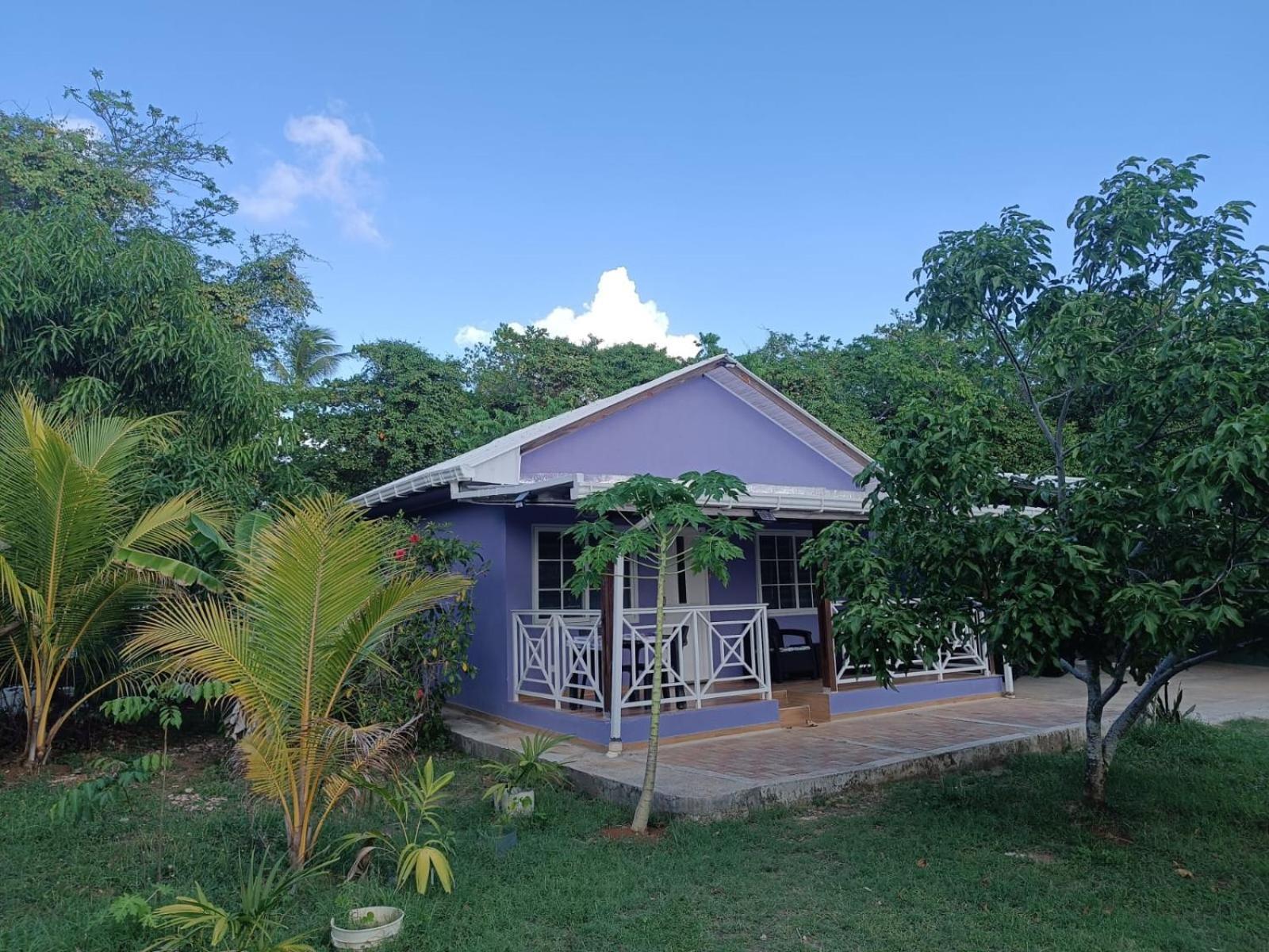 Blue Lizard House Vila San Andrés Exterior foto